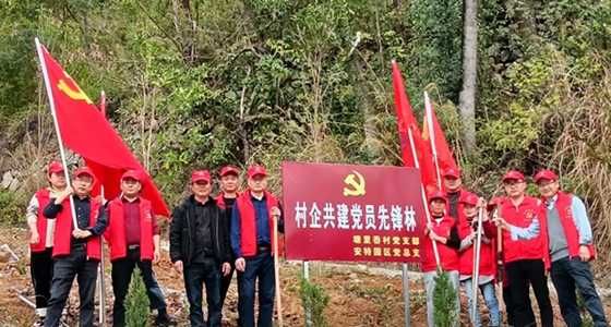 村企共建，共植先鋒林